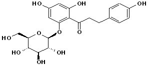 Phlorizin