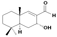 Polygonal