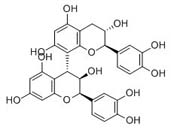 Procyanidin B1