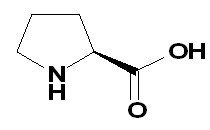 Proline