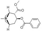 Pseudococaine