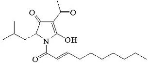 Reutericyclin