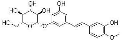 Rhaponiticin