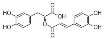 Rosmarinic acid