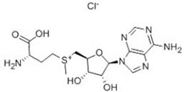 S-(5′-Adenosyl)-L-methionine chloride
