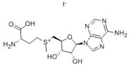 S-ADENOSYL-L-METHIONINE IODIDE SALT