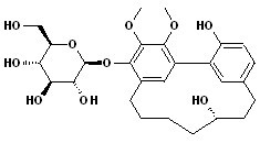 (+)-S-Myricanol glucoside