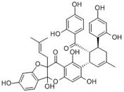 Sanggenone C