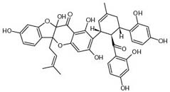 Sanggenone D