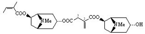 Schizanthine E