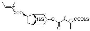 Schizanthine G