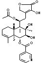 Scutebata C
