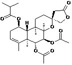 Scutebata E