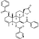 Scutebata G