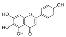 Scutellarein