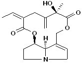 Seneciphylline