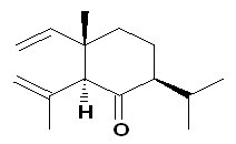 Shyobunone