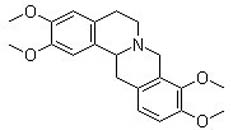 Tetrahydropalmatine