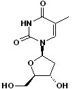 Thymidine