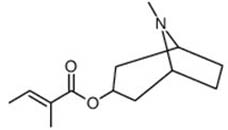Tigloidine