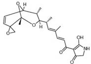 Tirandalydigin