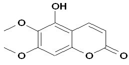Tomentin