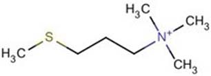 Trimethyl[3-(methylthio)propyl]ammonium(1+)