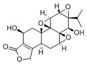 Tripdiolide