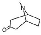 Tropinone