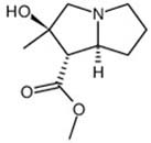 Tussilagine
