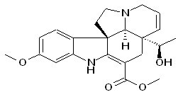 Vandrikidine