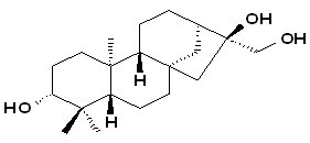 ent-kaurane-3,16,17-triol
